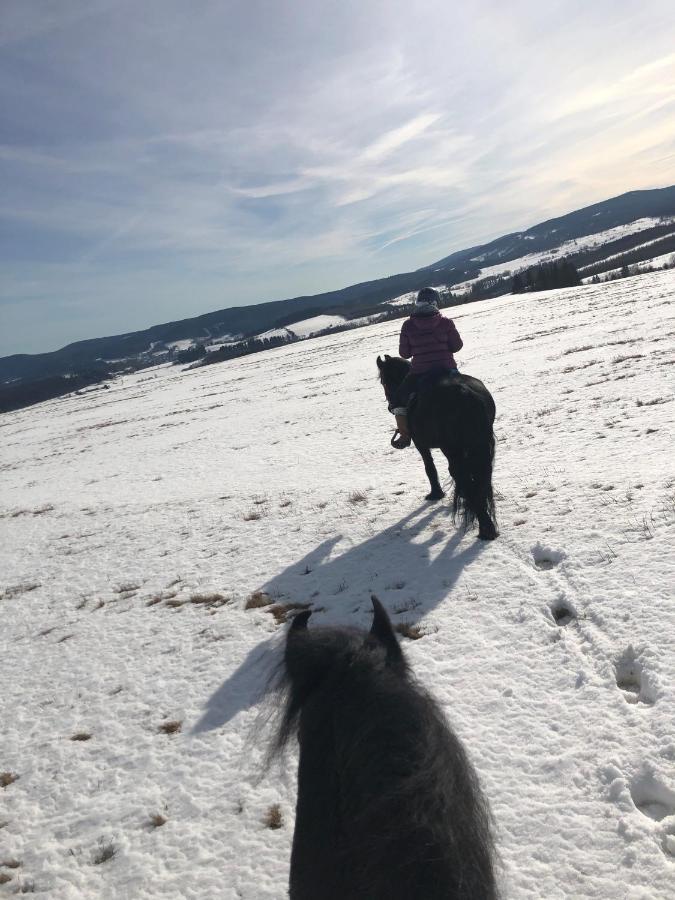 Caloroczne Jurty Mongolskie - 